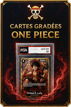 Cartes Gradées One pièce